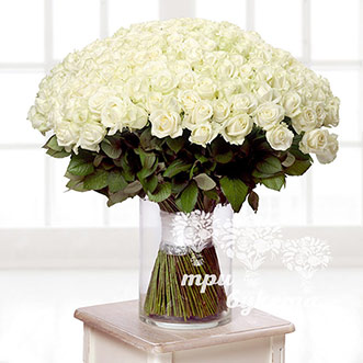 Букет из 301 белой розы